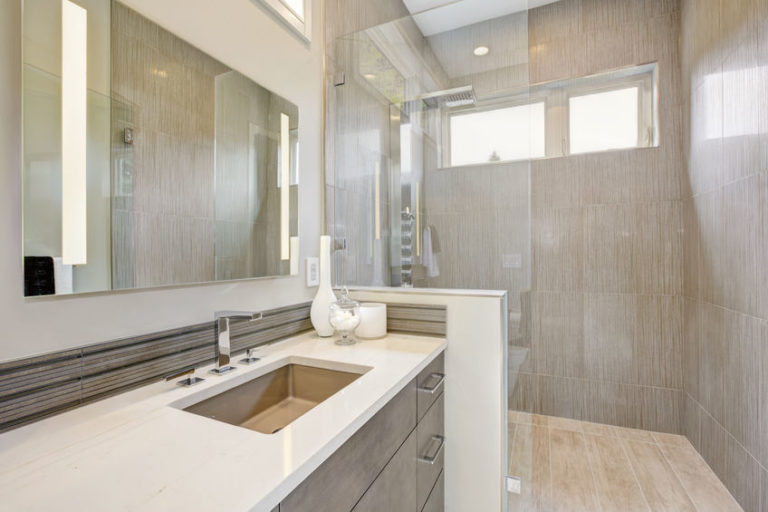 Walk in Shower vs. bathtub pros and cons
